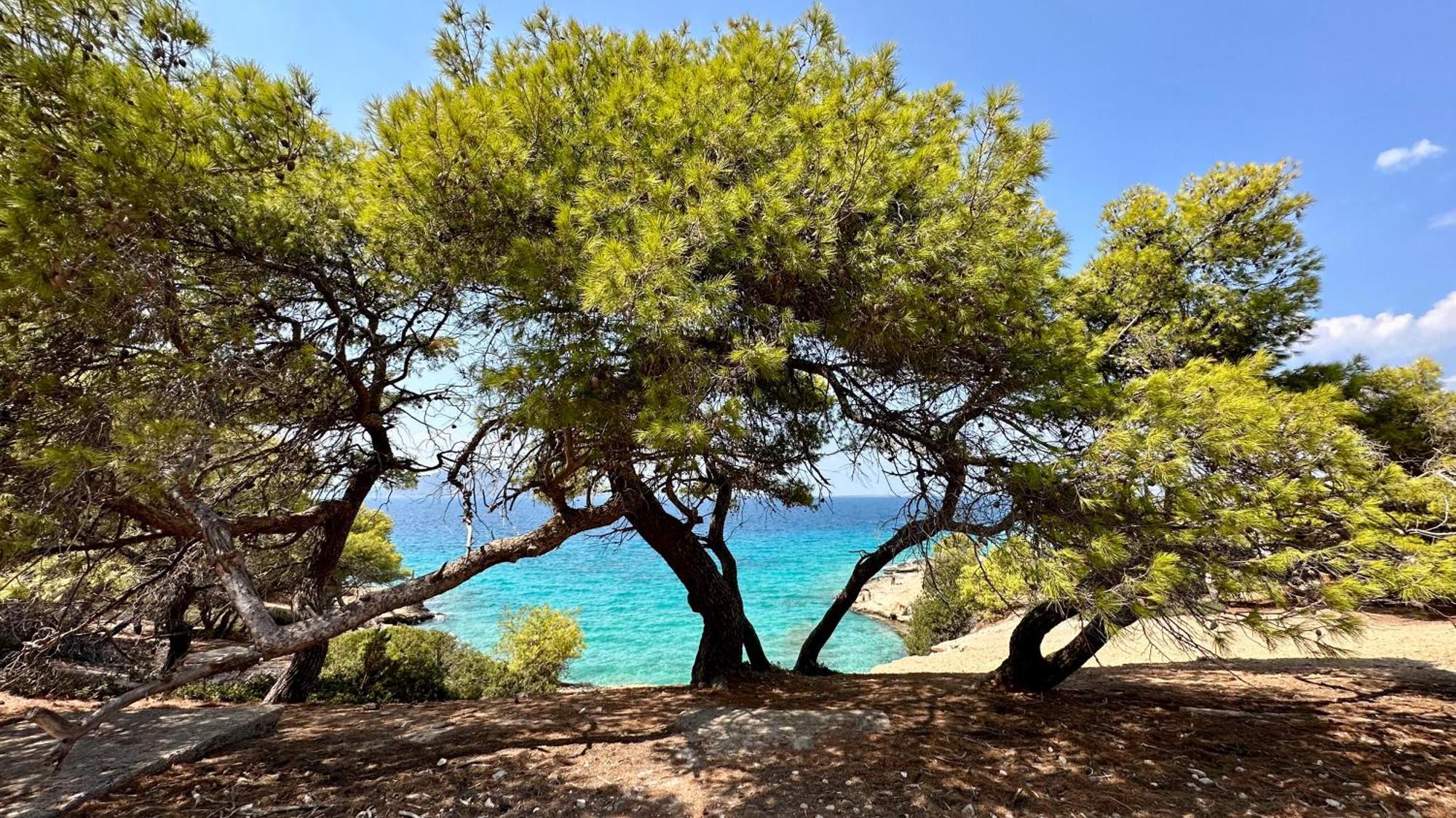 Appartement Vue Sur Mer Soul Family, Egine Aegina Eksteriør bilde